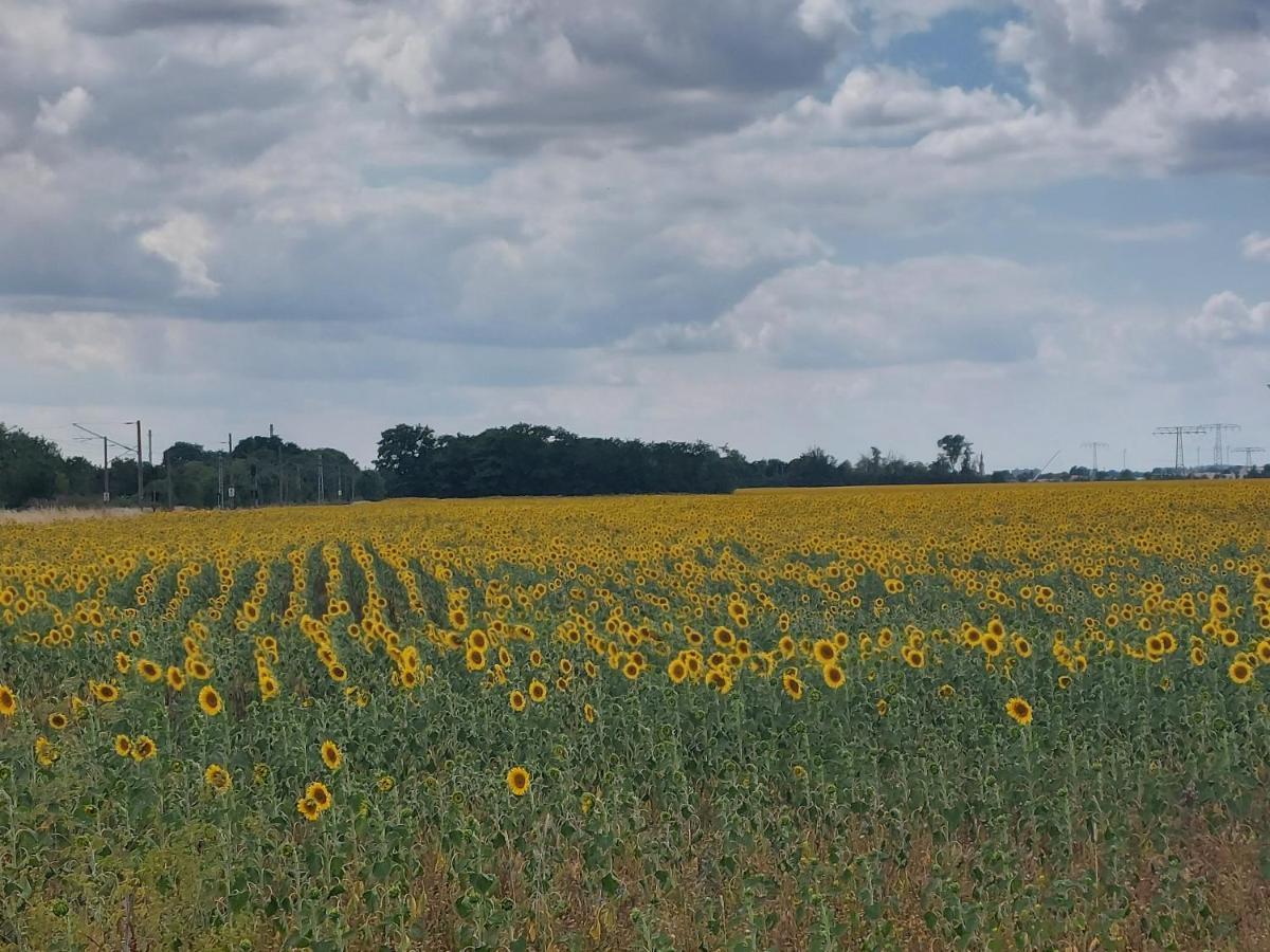 Domki U Szreka Otel Kołczewo Dış mekan fotoğraf