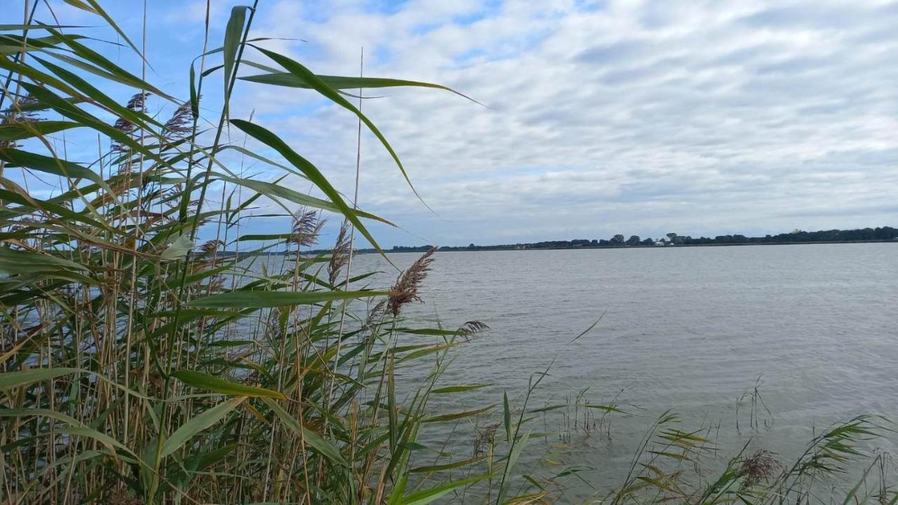 Domki U Szreka Otel Kołczewo Oda fotoğraf